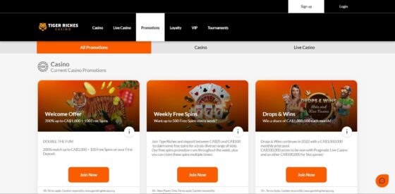 Tiger Riches Casino Bonuses