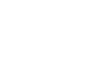 RioAce logo